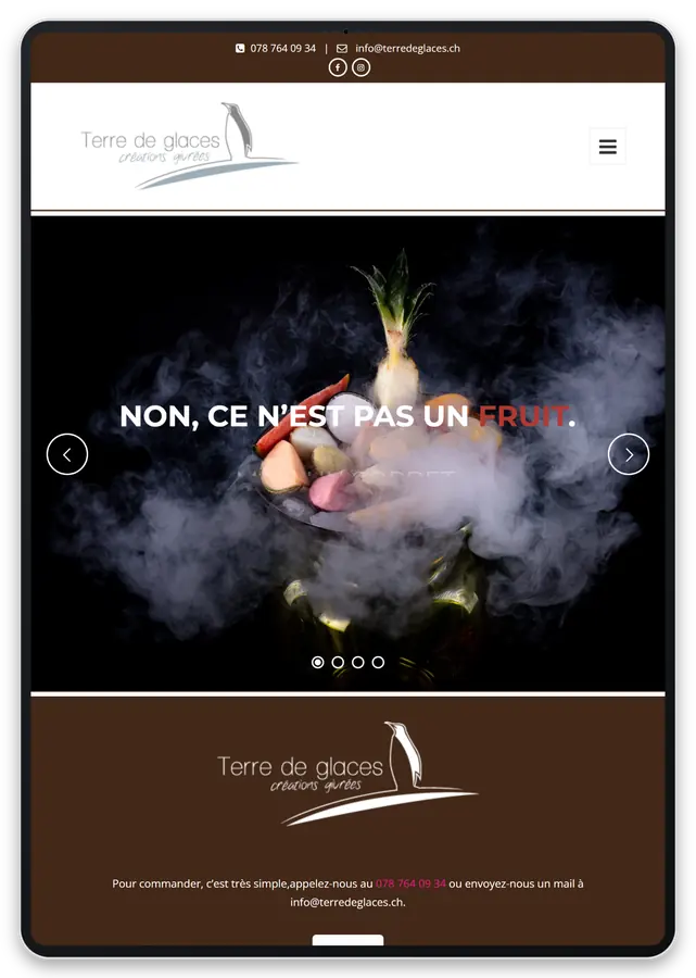 Capture responsive du site Terre de Glaces sur tablette