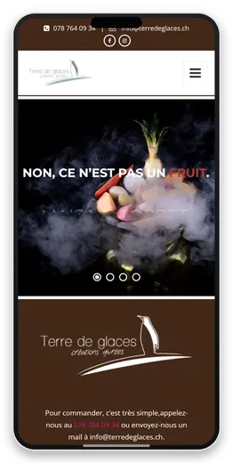 Capture responsive du site Terre de Glaces sur smartphone