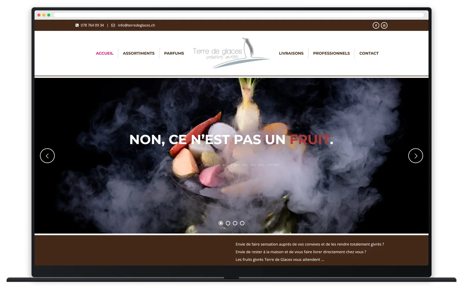 Capture responsive du site Terre de Glaces sur ordinateur portable